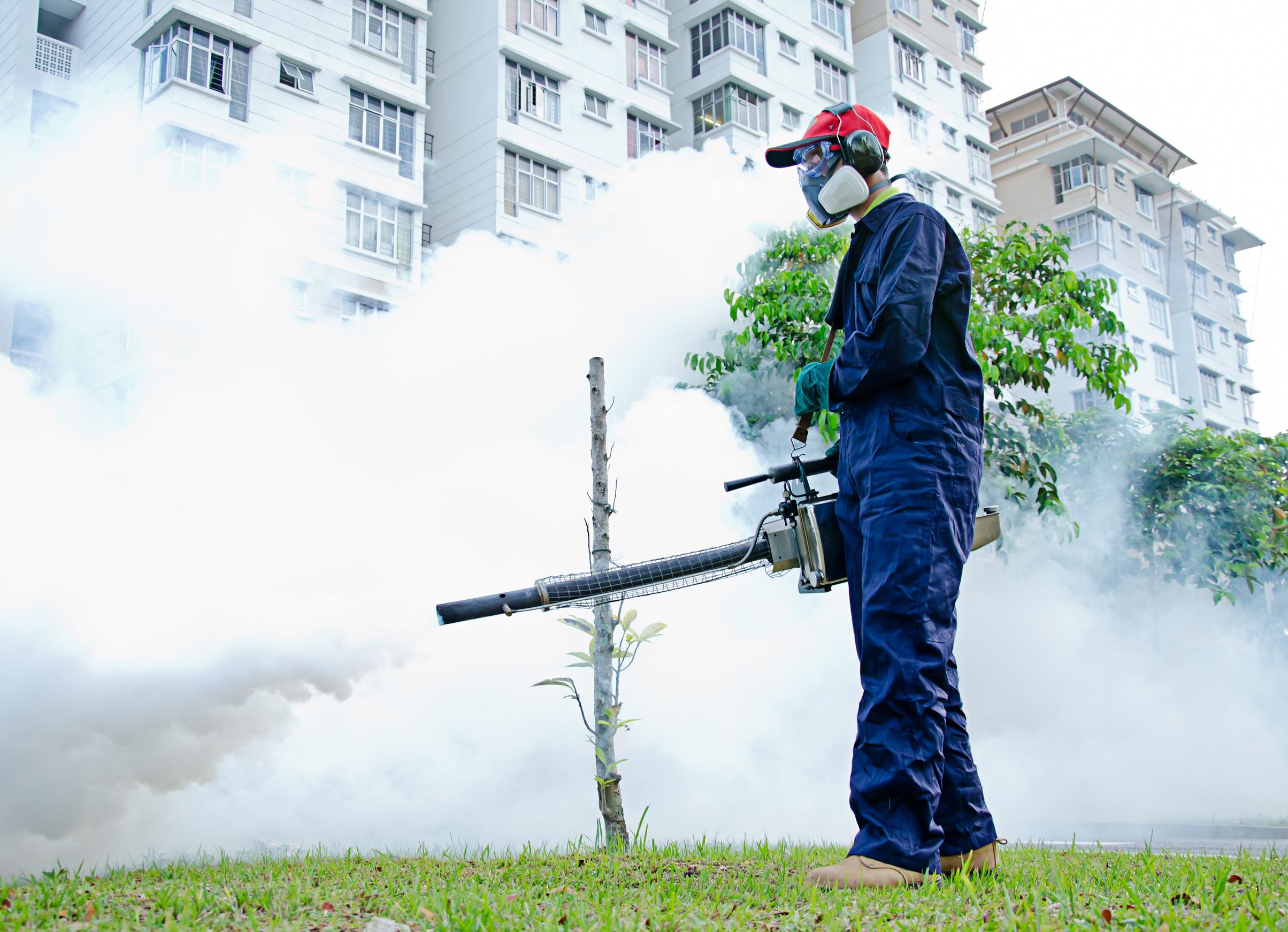 Achieve Lasting Peace of Mind with Expert Pest Control in Minnetonka for a Safer Home