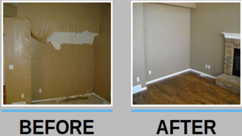 Hire a Professional Mold Damage Restoration Service Today