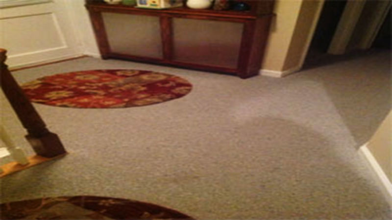 Beautiful Floor Covering Increases The Value Of A House