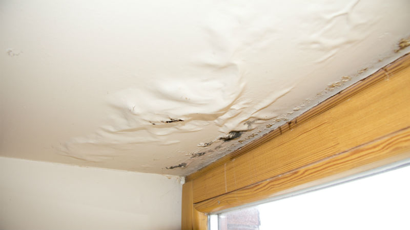 What Everyone Should Know About Water Damage Restoration in Kenneth City