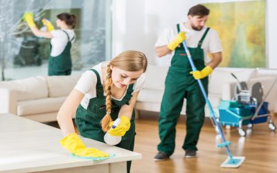 Setting Higher Standards for Cleaning Services in Stone Oak, TX