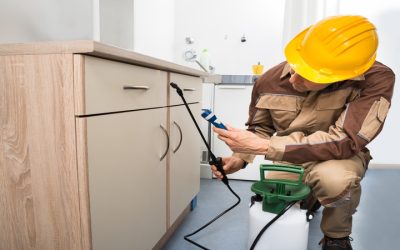 Keep Your Property Safe And Clean Through Reliable Pest Control Services in Frisco, TX.