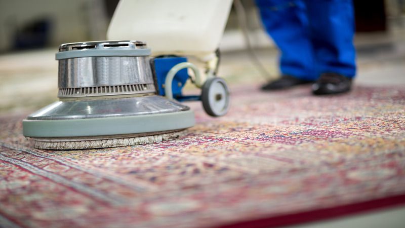Transform Home Comfort with Professional Carpet Steam Cleaning Near McFarland, WI