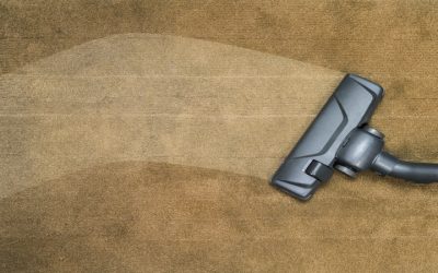 How Residential Carpet Cleaning in Madison, WI, Improves Comfort and Indoor Air Quality