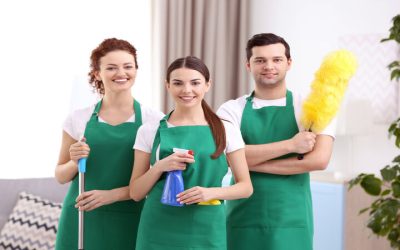 Enjoy Pristine Homes Through Professional Home Cleaners In Overland Park, KS