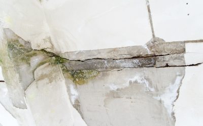 Protect Your Home from Costly Mold with Expert Water Damage Repair in Puyallup WA