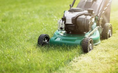 Lawn Treatment Services in Wesley Chapel FL: Solving Common Turf Problems