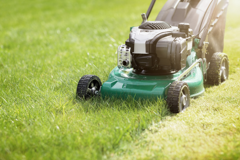 Lawn Treatment Services in Wesley Chapel FL: Solving Common Turf Problems
